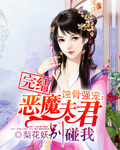 蚀骨强宠：恶魔夫君别碰我